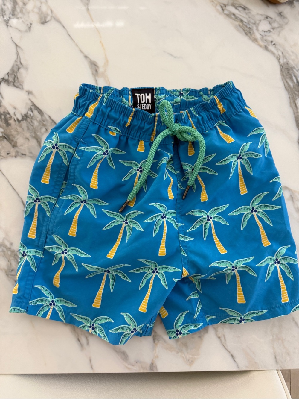 Tom & Teddy Turquoise Palm Tree Swim Trunks
